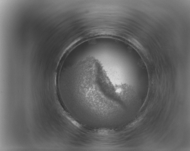 X0000069840790200605261905