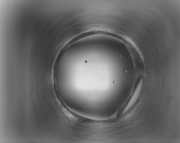 X0000069840791200605261905