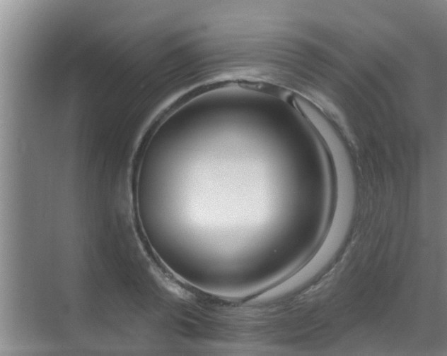 X0000069840792200605261905