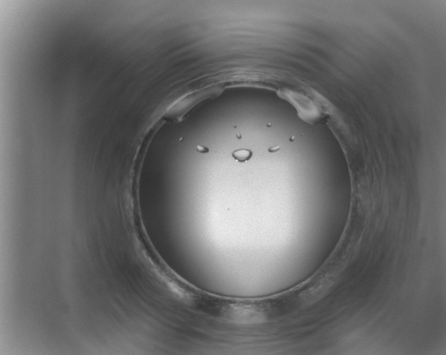 X0000069840794200605261905