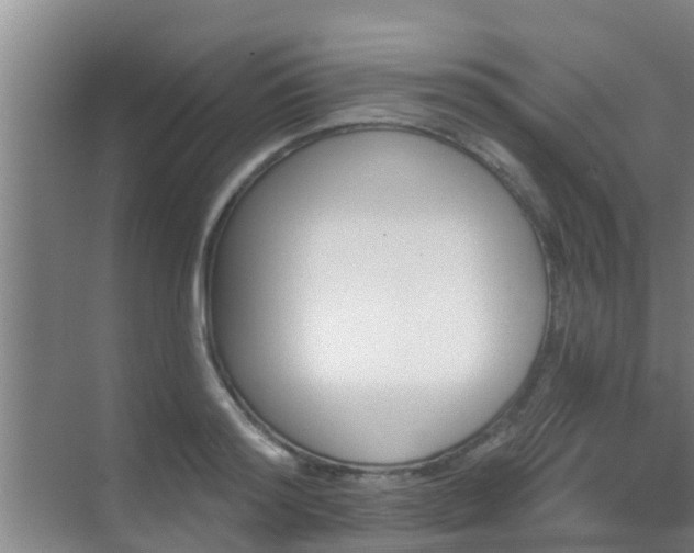 X0000069840796200605261905