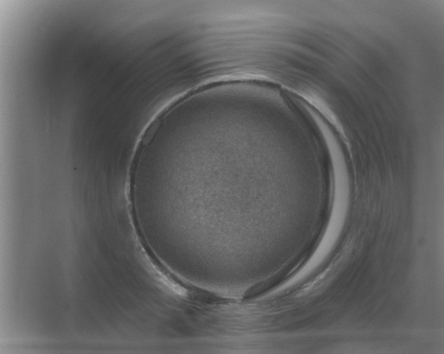 X0000069840797200605261905