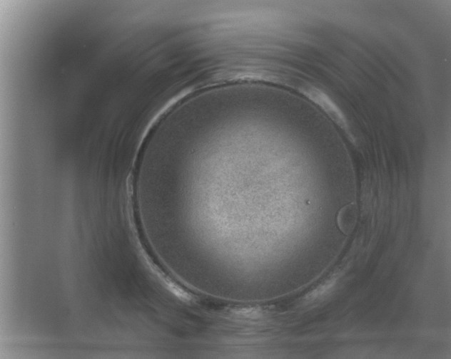 X0000069840798200605261905