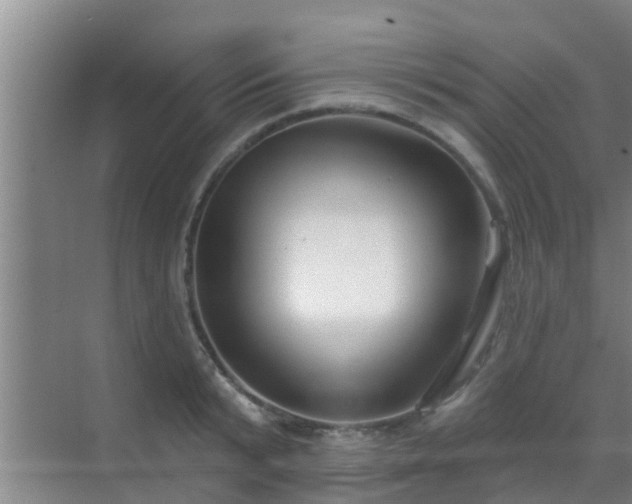 X0000069840799200605261905