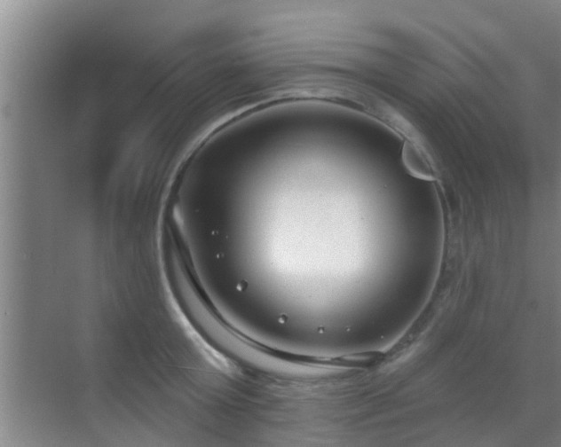 X0000069840803200605261905