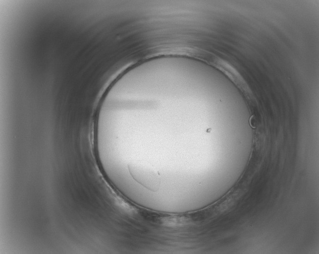 X0000069840804200605261905