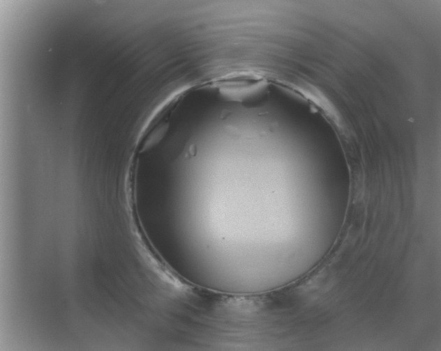 X0000069840806200605261905