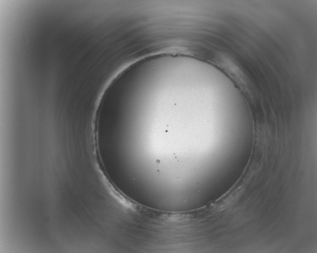 X0000069840808200605261905