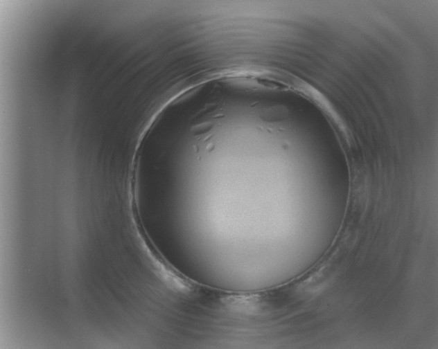 X0000069840810200605261905