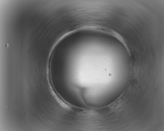 X0000069840811200605261905