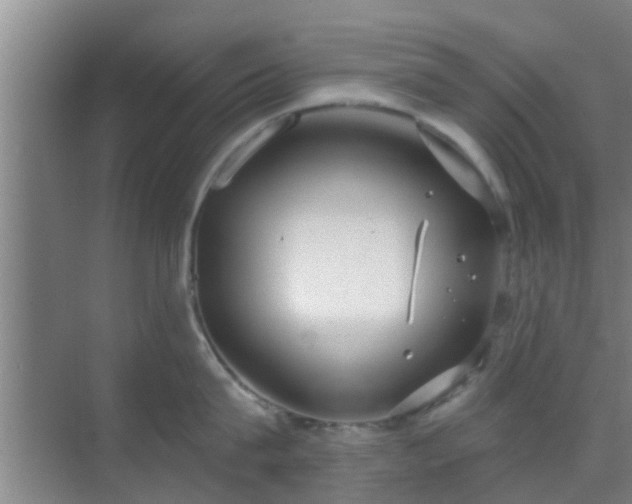 X0000069840815200605261905