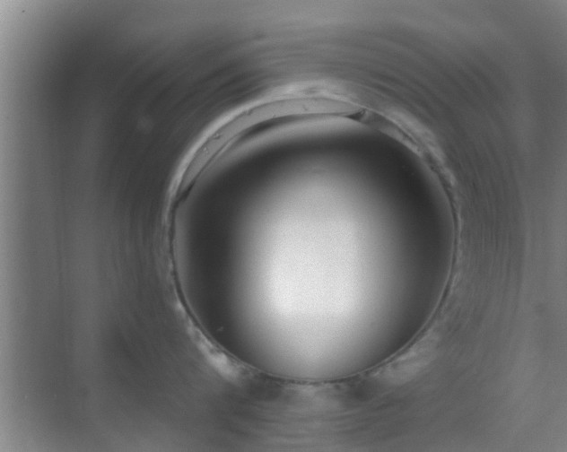 X0000069840816200605261905