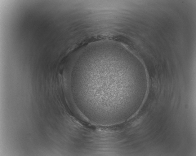 X0000069840818200605261904