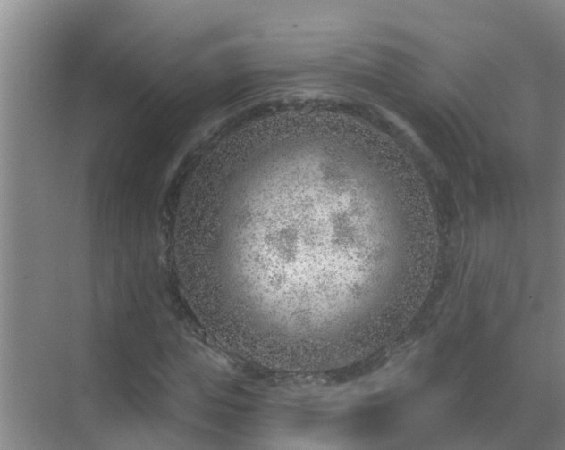 X0000069840823200605261904