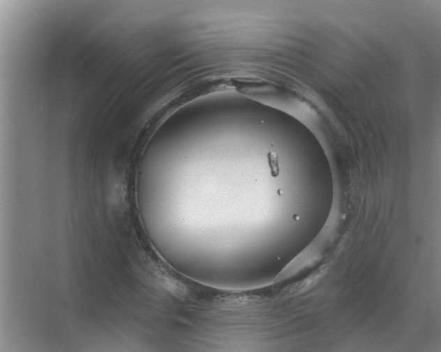 X0000069840826200605261904