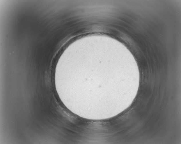 X0000069840828200605261904