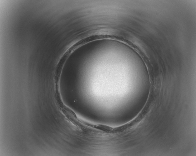 X0000069840829200605261904