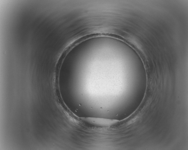 X0000069840831200605261904