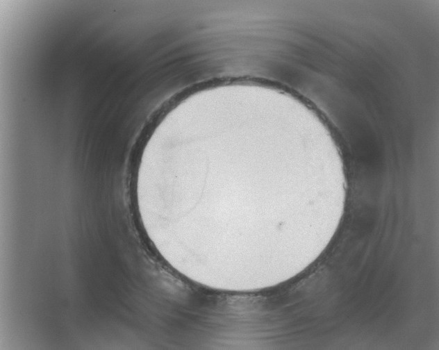 X0000069840832200605261904