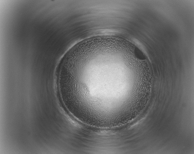 X0000069840835200605261904