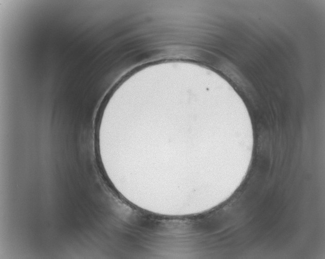 X0000069840836200605261904