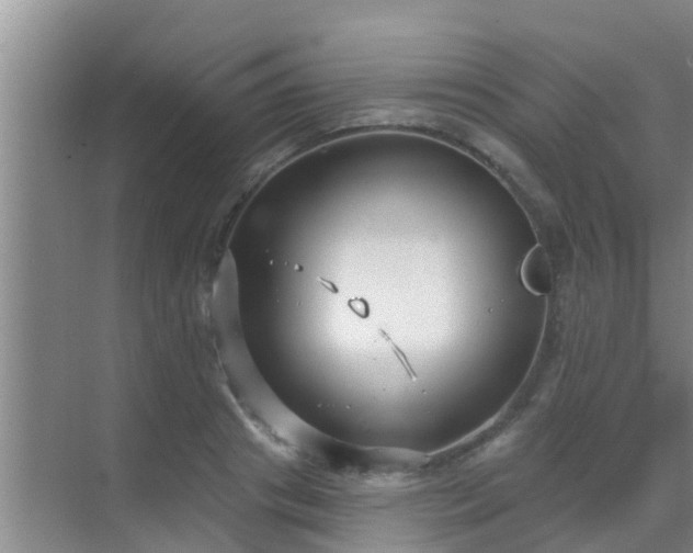 X0000069840841200605261905