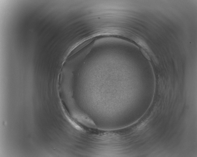 X0000069840842200605261905