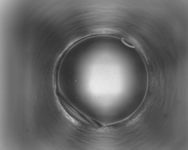 X0000069840843200605261905