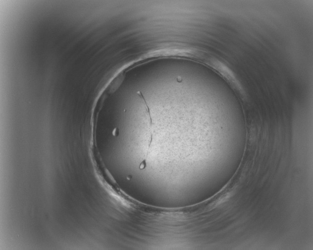 X0000069840844200605261905