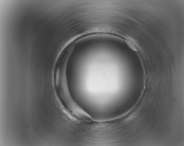 X0000069840846200605261905