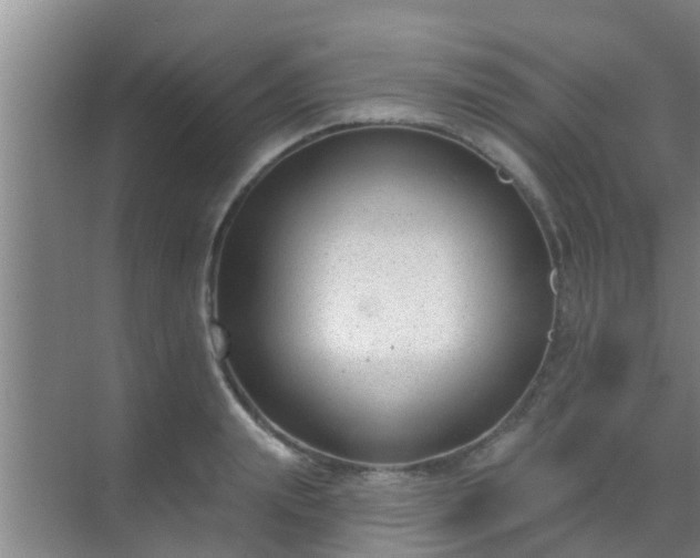 X0000069840847200605261905