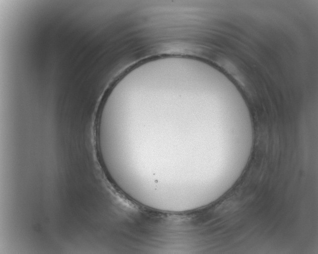 X0000069840848200605261905