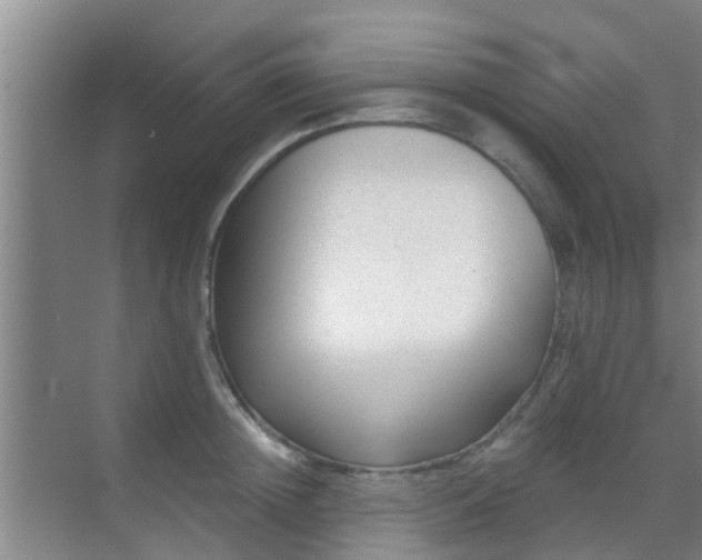 X0000069840852200605261905