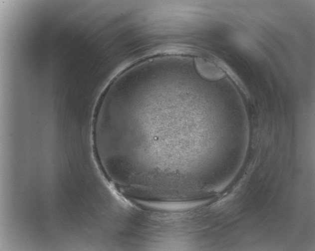 X0000069840853200605261905