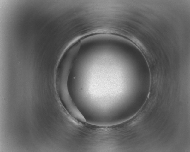 X0000069840854200605261905