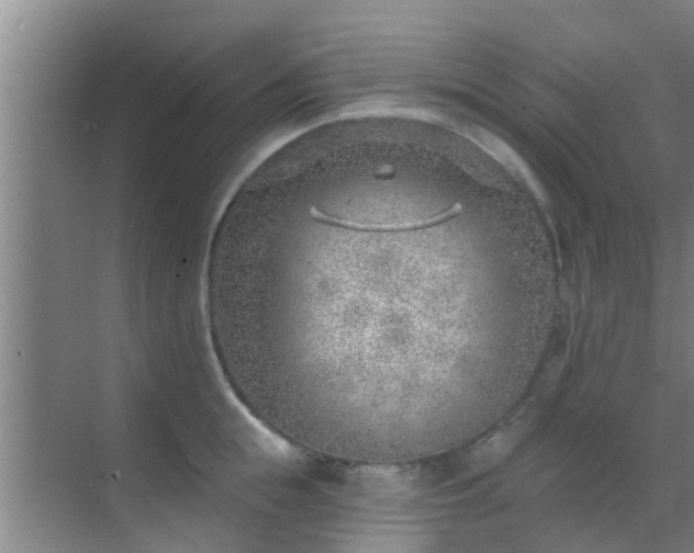 X0000069840855200605261905