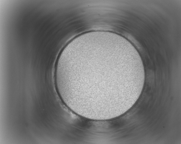 X0000069840856200605261905