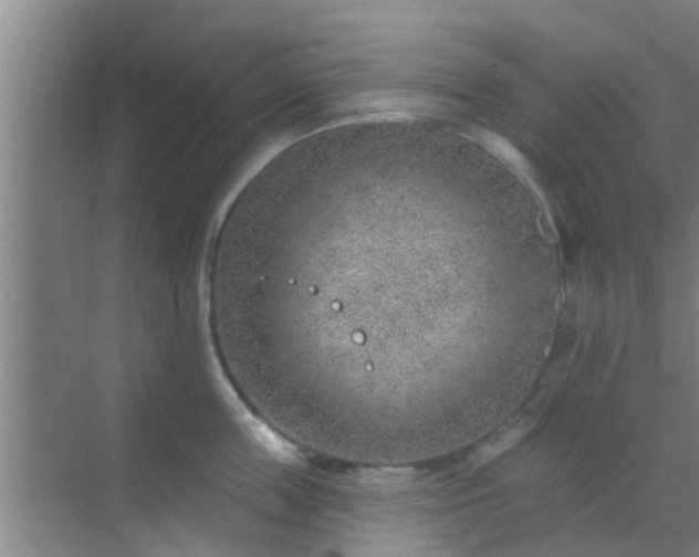 X0000069840859200605261905