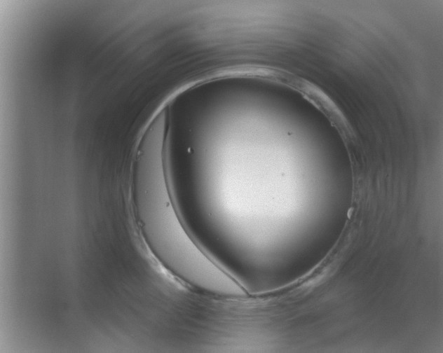 X0000069840860200605261905