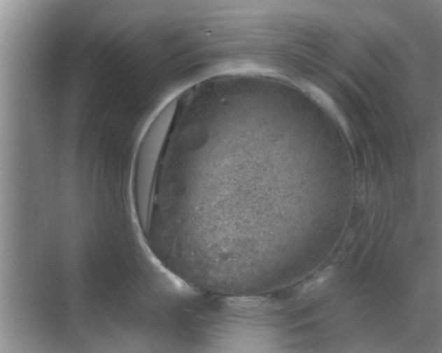 X0000069840863200605261905