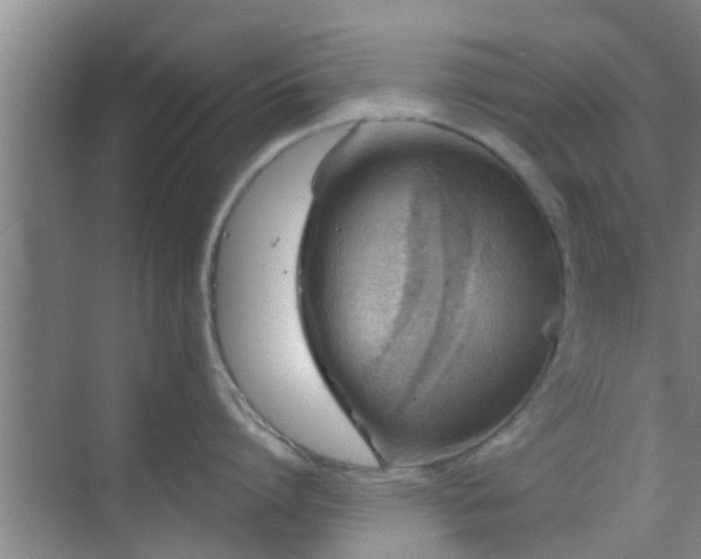 X0000069840864200605261905