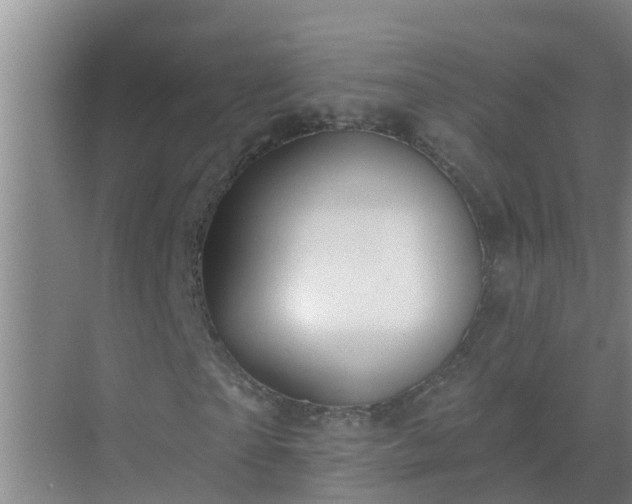 X0000069840865200605261904