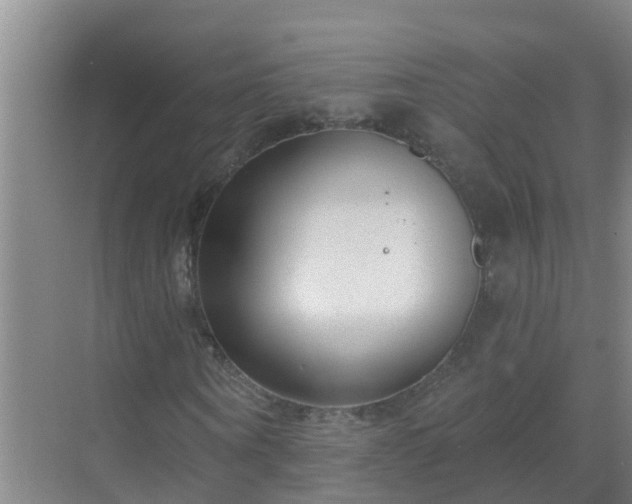 X0000069840866200605261904