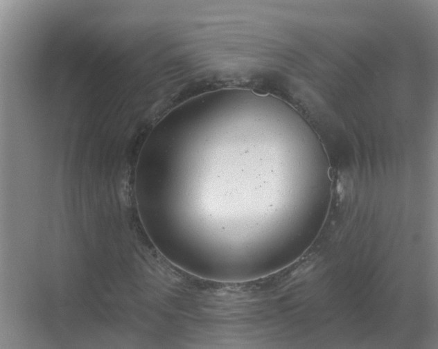 X0000069840867200605261904