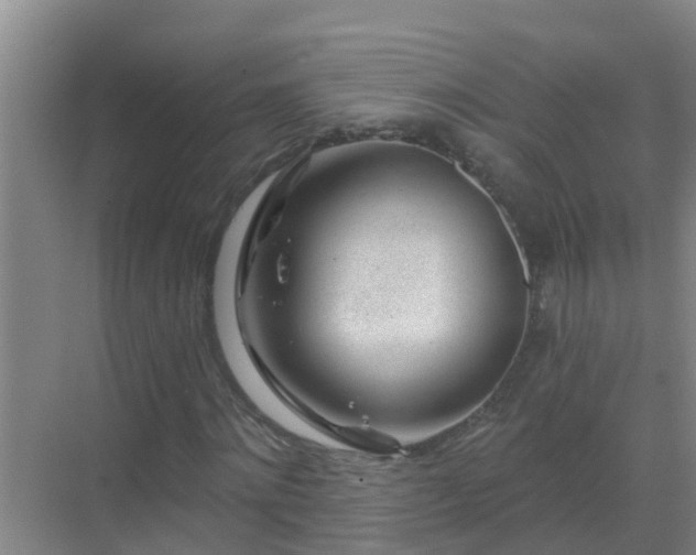 X0000069840868200605261904