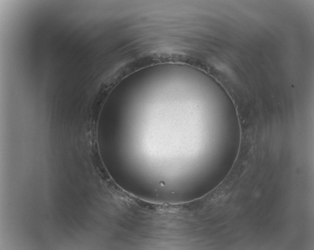 X0000069840870200605261904