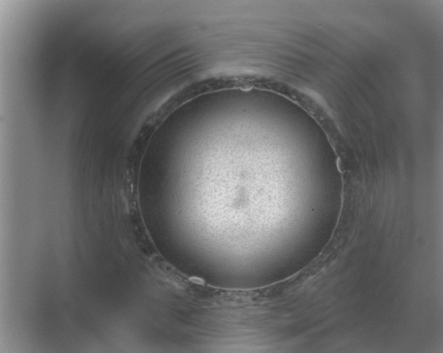 X0000069840871200605261904