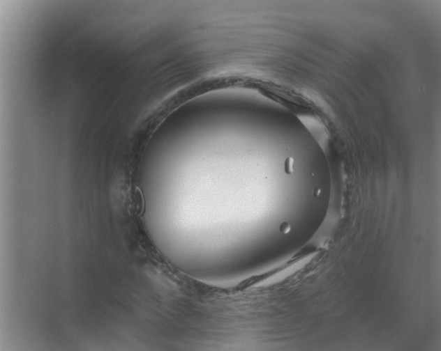 X0000069840872200605261904