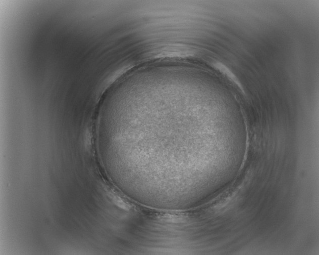 X0000069840874200605261904