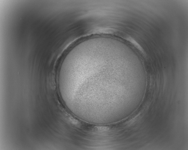 X0000069840878200605261904